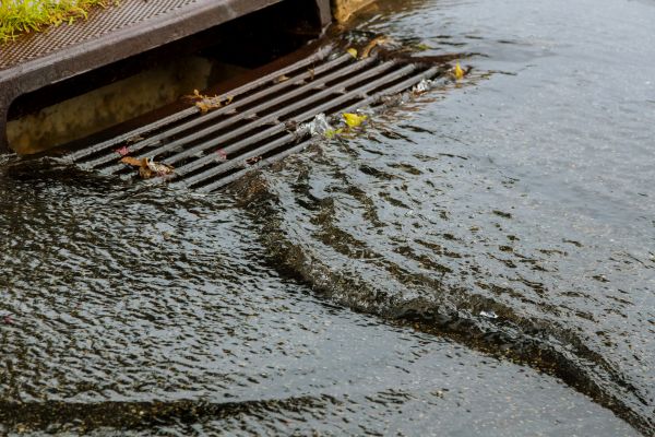 Cost of Storm Drainage Service in Edmonds