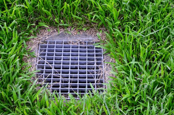Yard Drainage Service in Edmonds