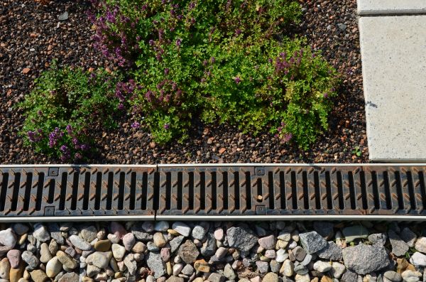 Lawn Drainage Repair in Edmonds