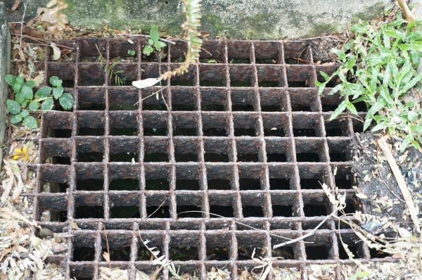 Yard Drain Cleaning in Edmonds