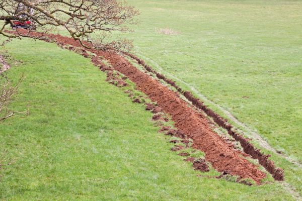 Cost of Swale Installation in Edmonds