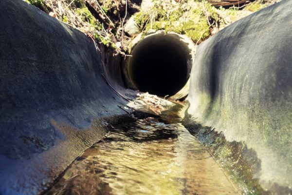 Drainage Swale Installation in Edmonds