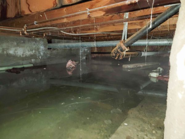 Cost of Crawlspace Drainage in Edmonds